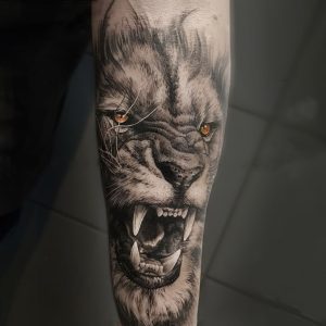 אריה עם עיניים צהובות